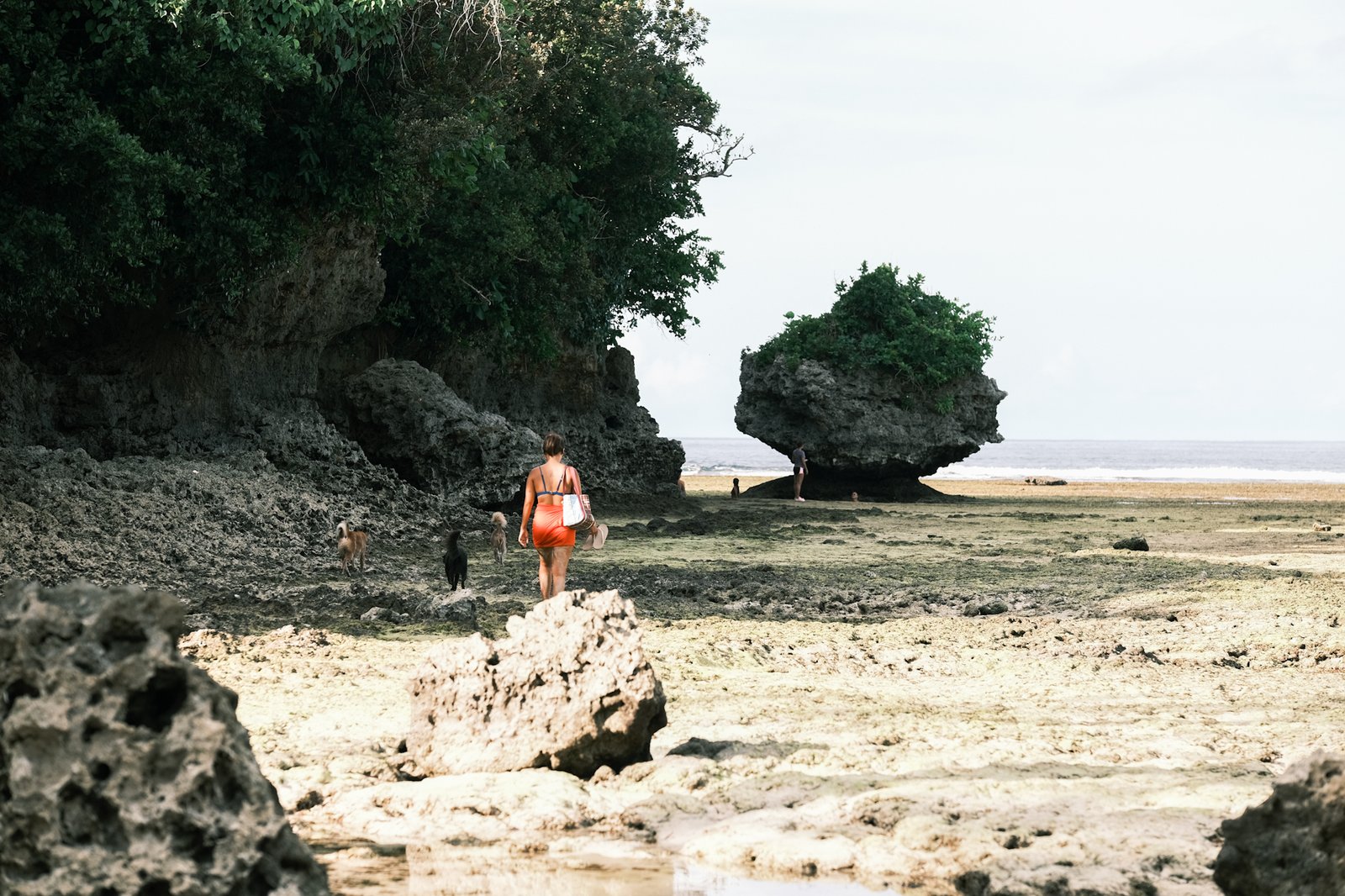 Best Thing to Do in Siargao: 15 Epic Adventure You Can't Miss