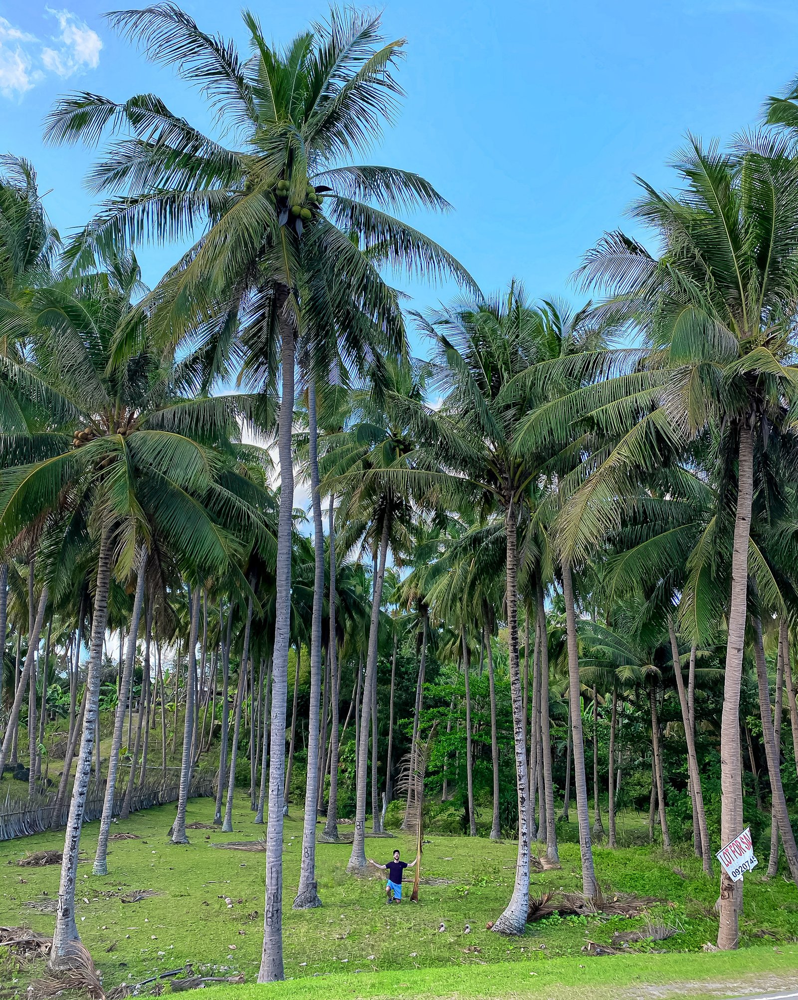 How to Travel Sustainably as a Young Adult Without Breaking the Bank